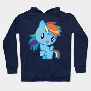 Cutie Mark Crew Rainbow Dash Hoodie